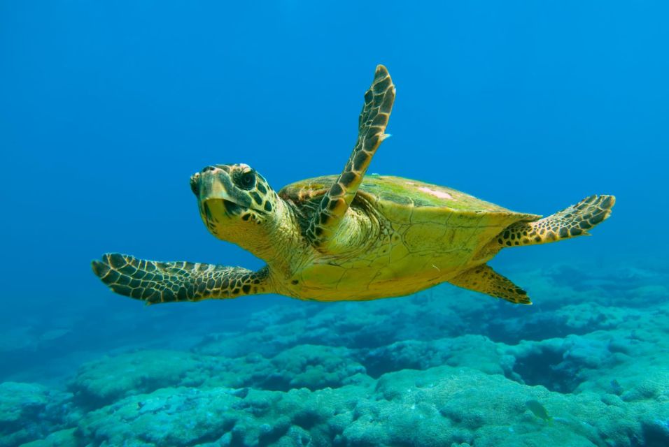 Dalyan Turtle Beach tour from Marmaris with river and sea scenery