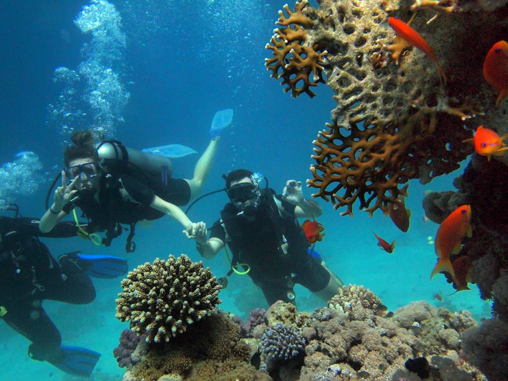 Marmaris scuba diving tour with underwater view